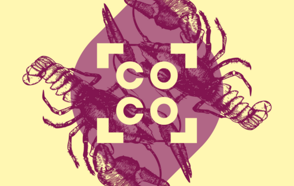 Cottbus International Film Festival 2024